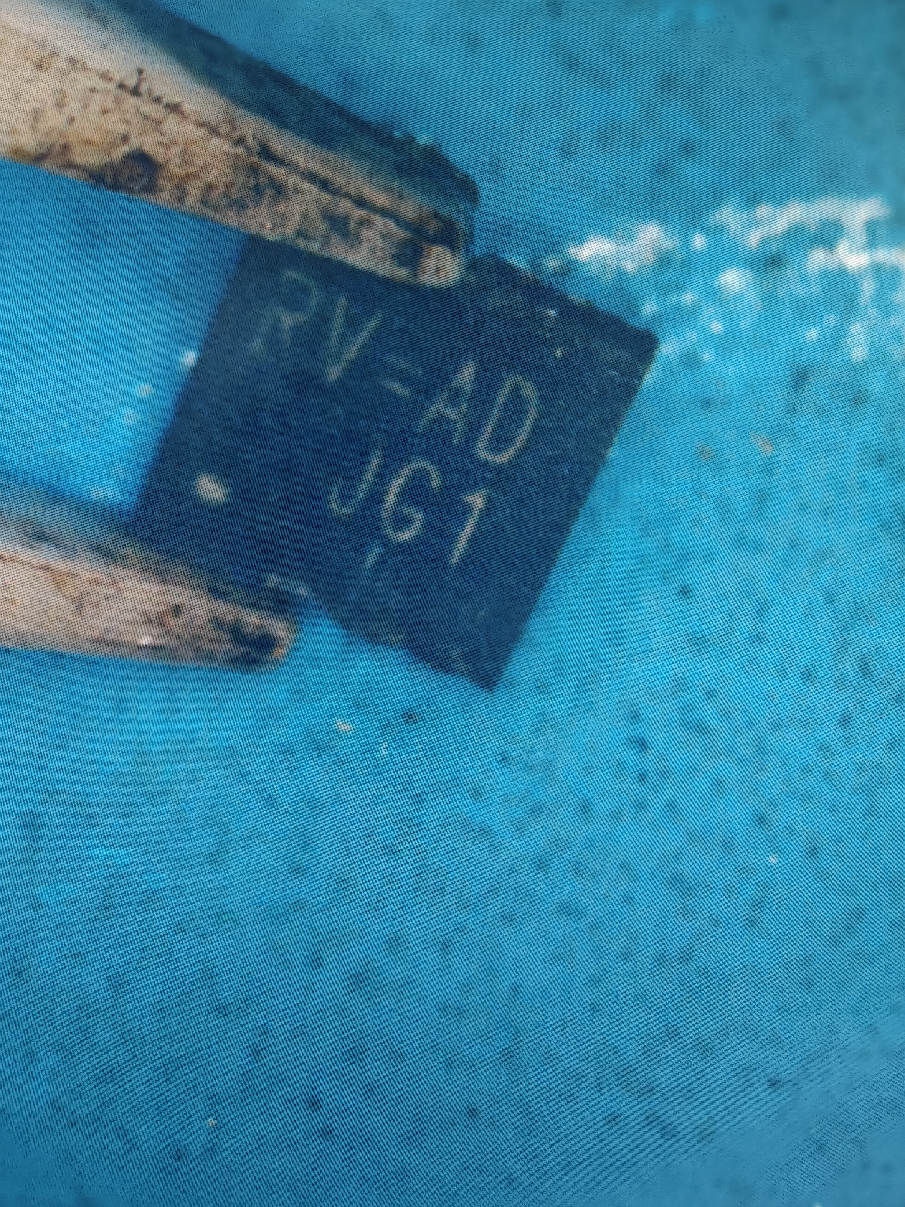 IMG20250828124441.jpg