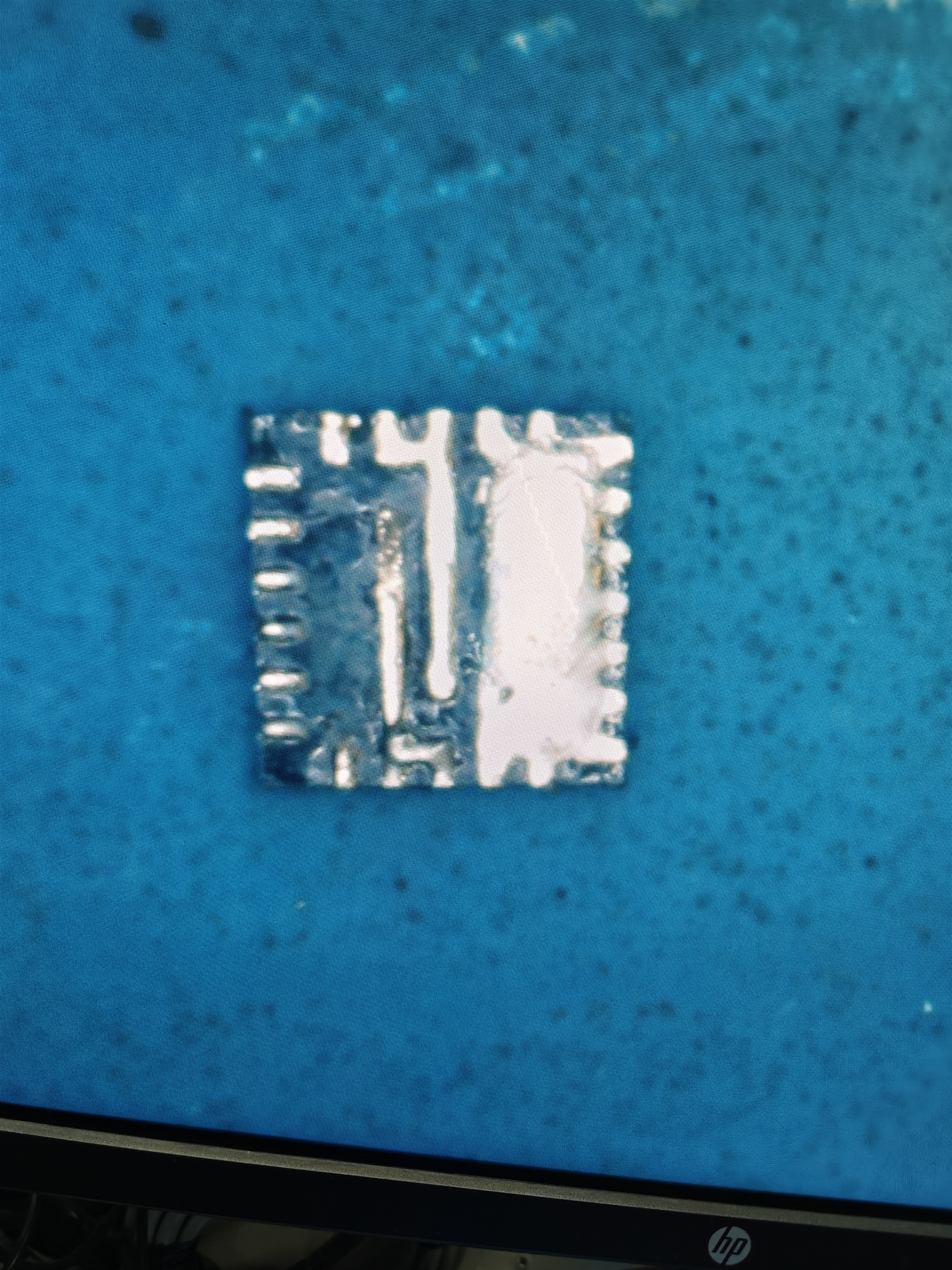 IMG20250828124457.jpg