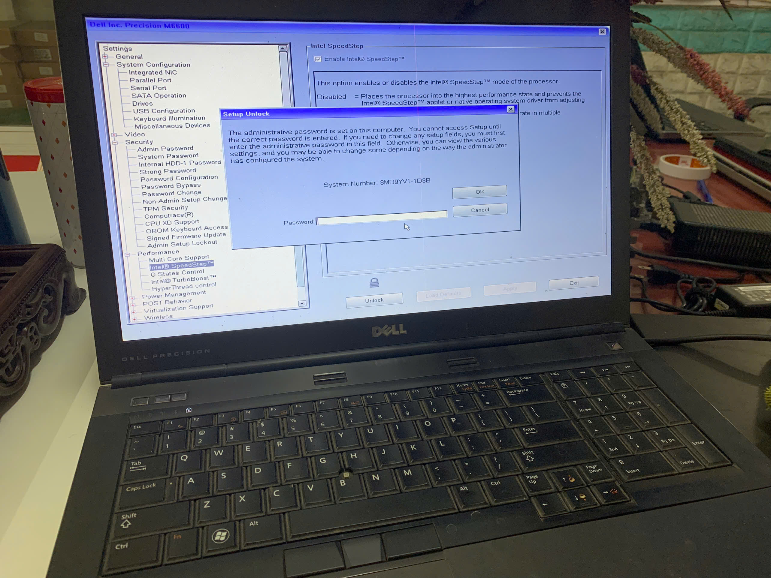 m6600000.jpg
