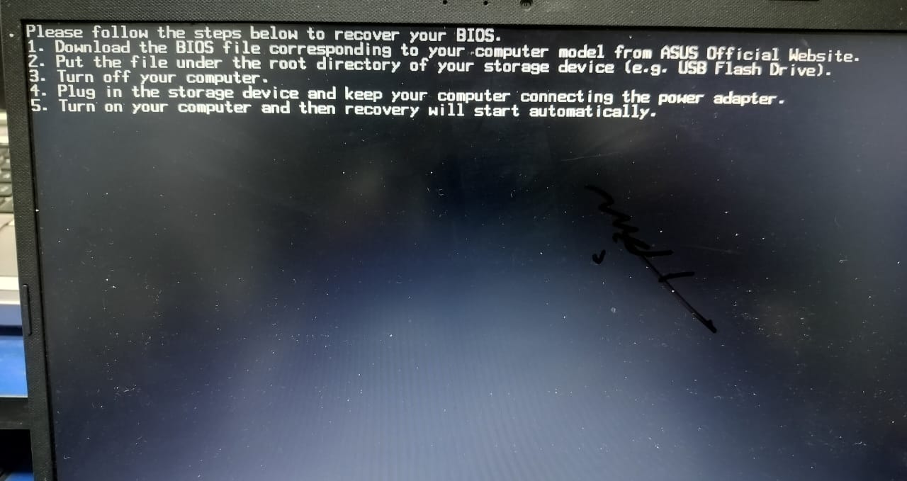 WhatsApp Image 2025-11-23 at 11.38.00 AM.jpeg