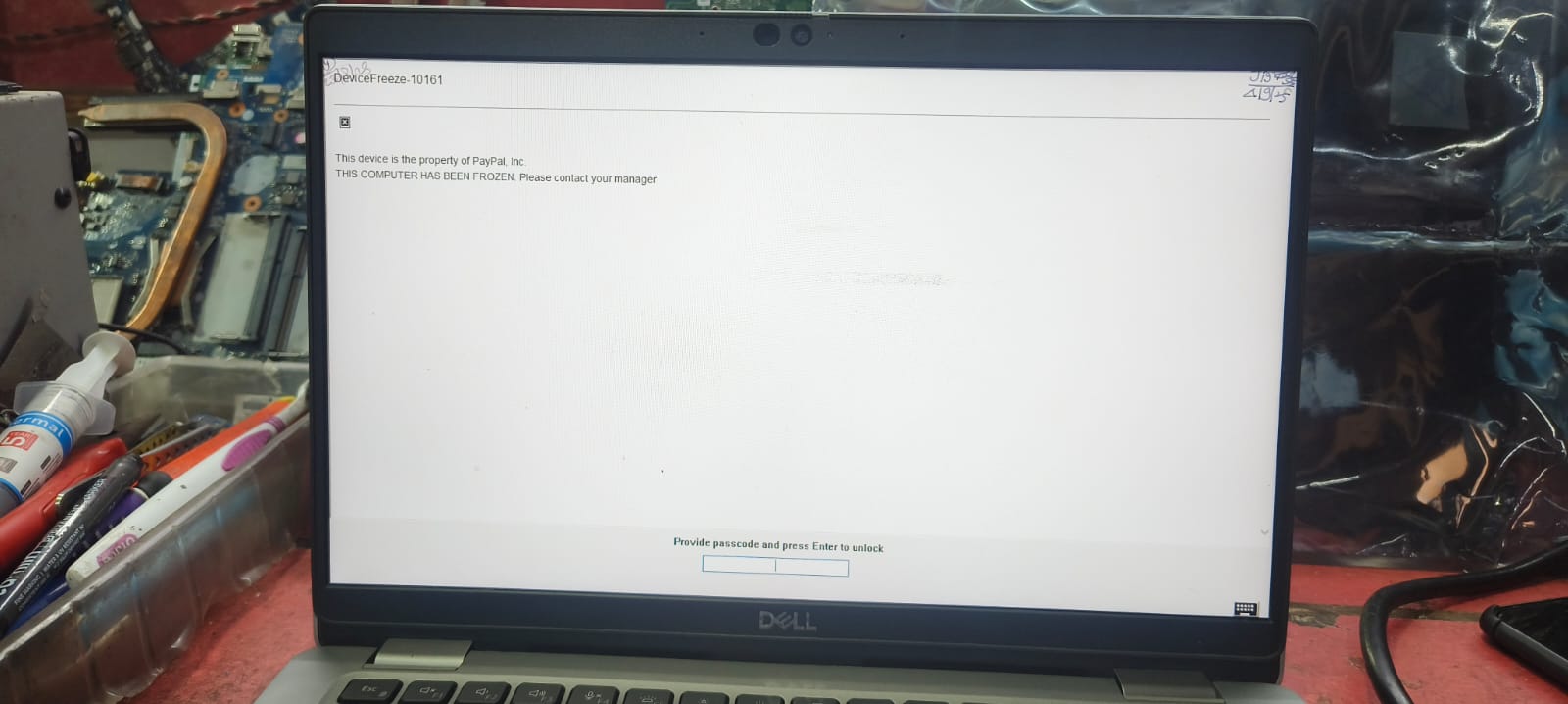 WhatsApp Image 2025-12-22 at 13.31.12.jpeg