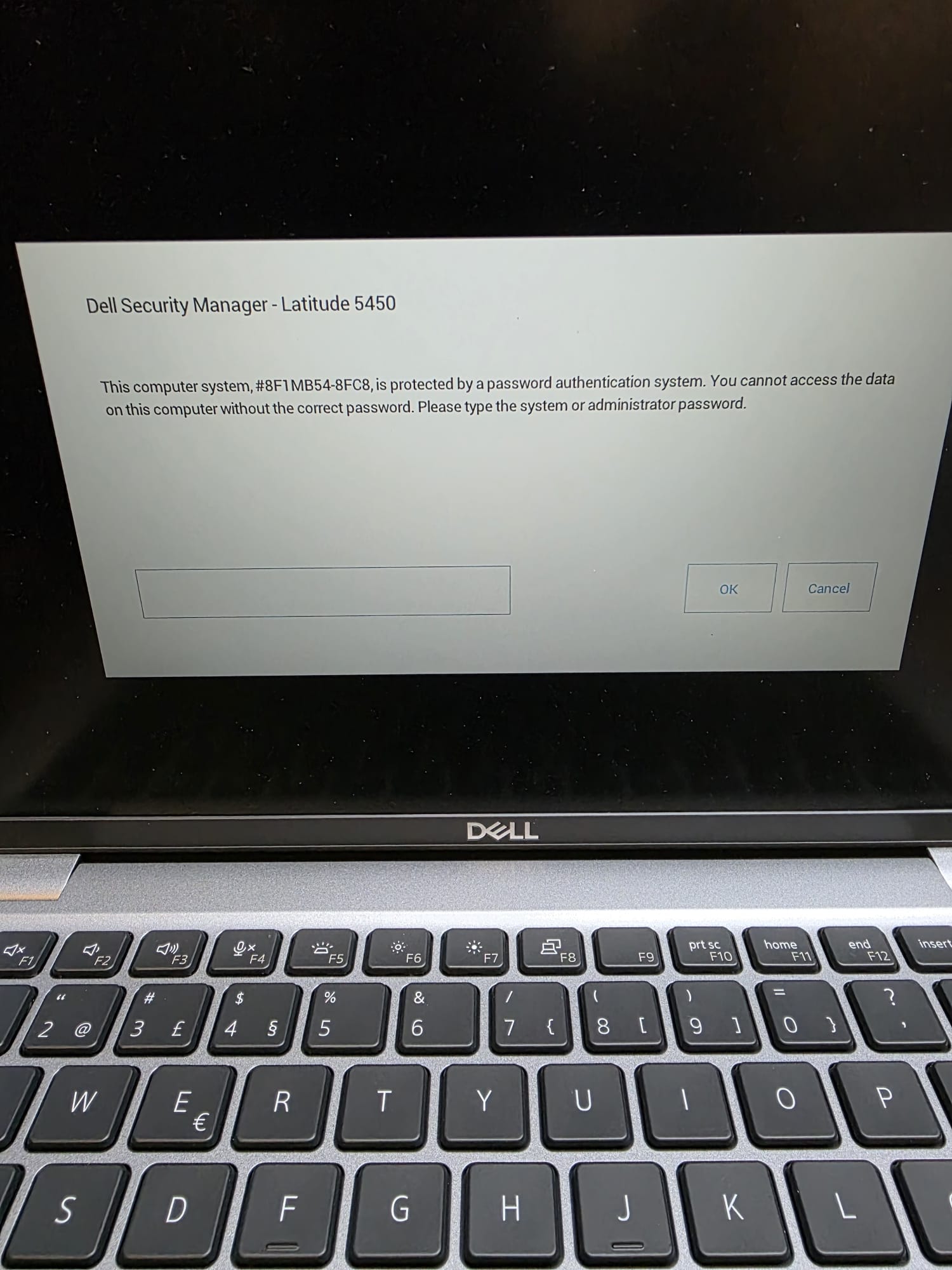 WhatsApp Image 2026-02-04 at 10.58.10.jpeg