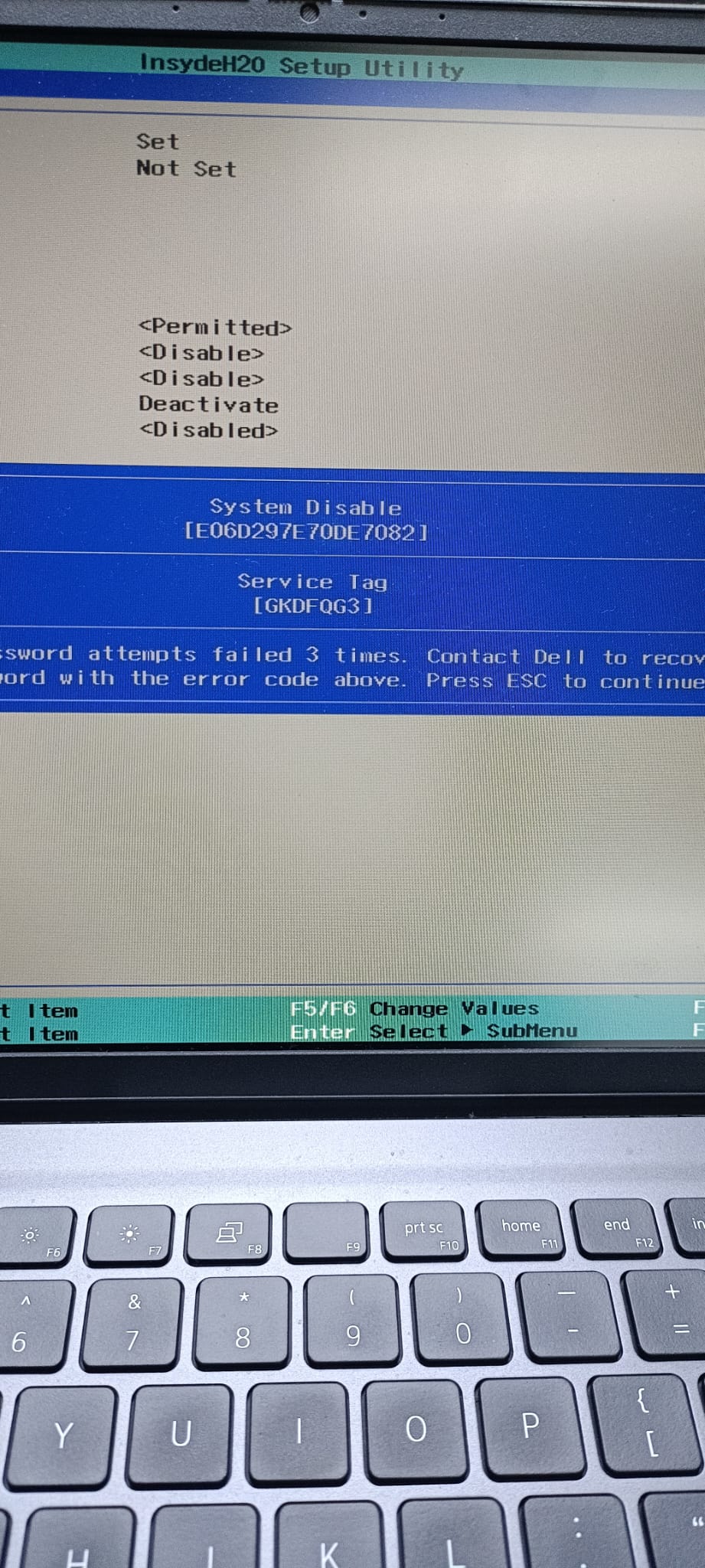 WhatsApp Image 2026-02-20 at 17.29.40.jpeg