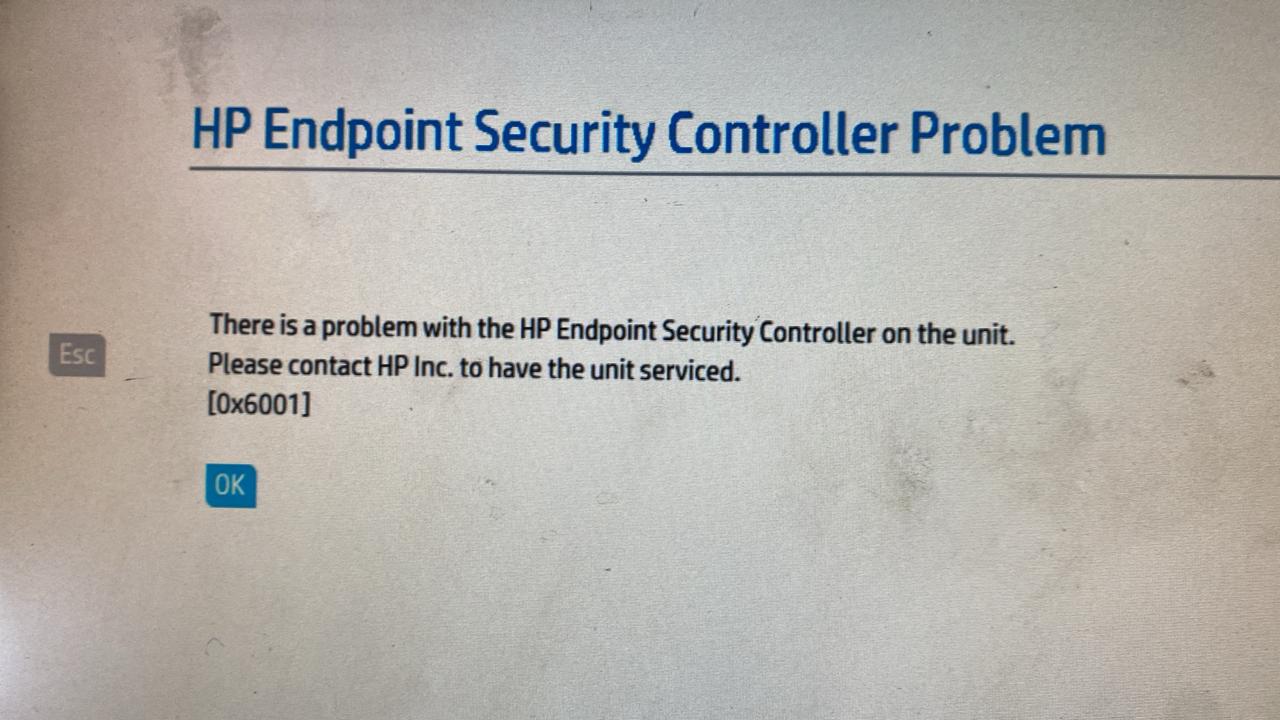 WhatsApp Image 2026-03-04 at 5.35.28 PM.jpeg