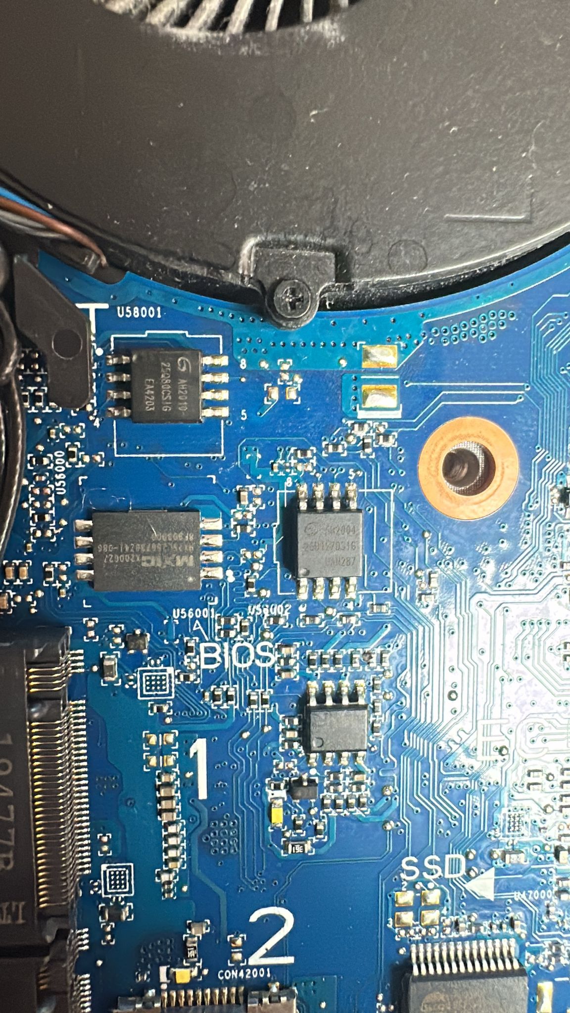 WhatsApp Image 2026-04-02 at 11.08.24.jpeg