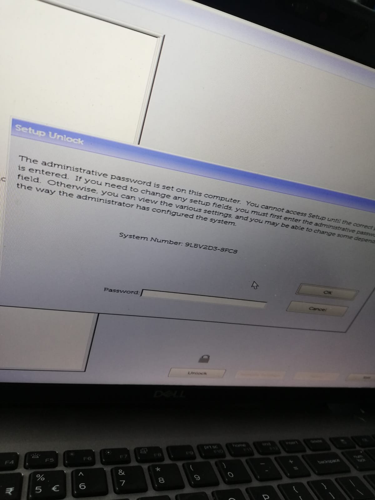 Zdjęcie WhatsApp 2025-12-11 o 09.06.28_896eff66 (2).jpg